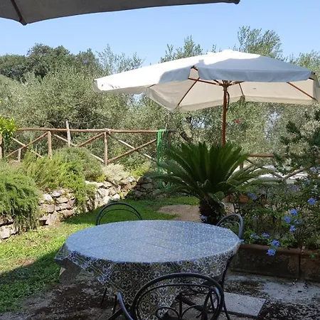 Gli Ulivi Agriturismo * Sant'Agnello