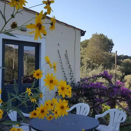 Gli Ulivi Agriturismo