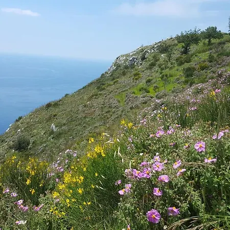 Gli Ulivi Agriturismo Farm stay *