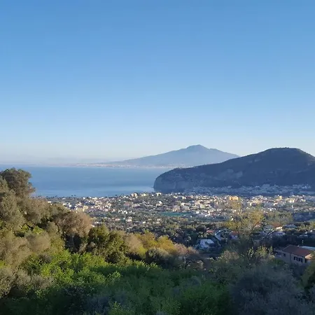 Gli Ulivi Agriturismo
