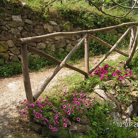 Gli Ulivi Agriturismo Sant'Agnello