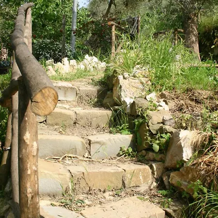Farm stay Gli Ulivi Agriturismo