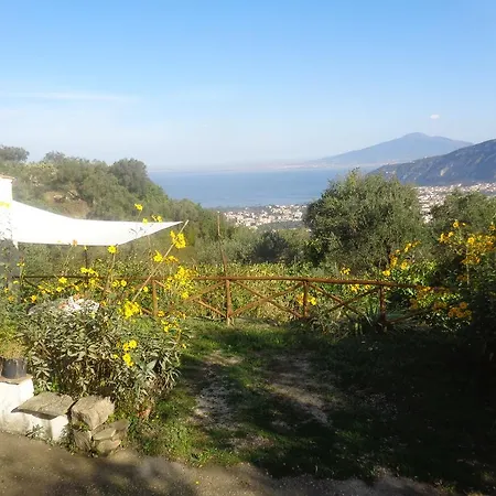 Gli Ulivi Agriturismo Farm stay *