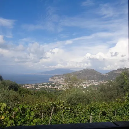 Gli Ulivi Agriturismo Sant'Agnello