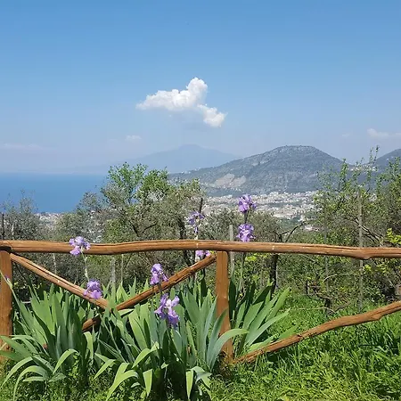 Gli Ulivi Agriturismo Farm stay *