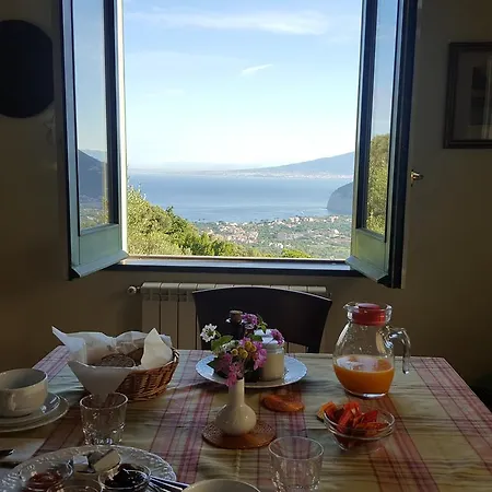 Gli Ulivi Agriturismo Farm stay