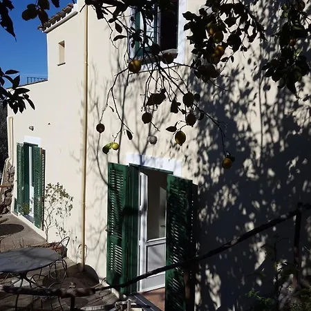 Gli Ulivi Agriturismo Farm stay