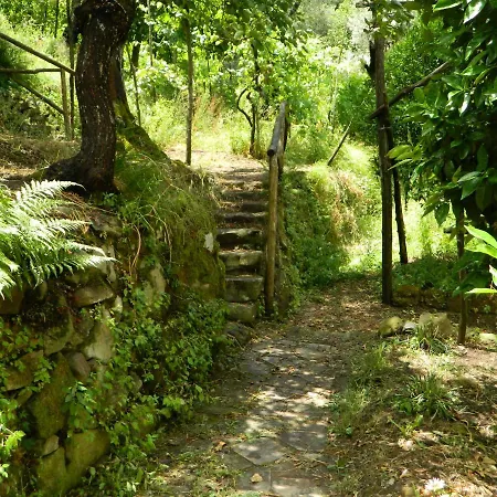 Gli Ulivi Agriturismo Farm stay