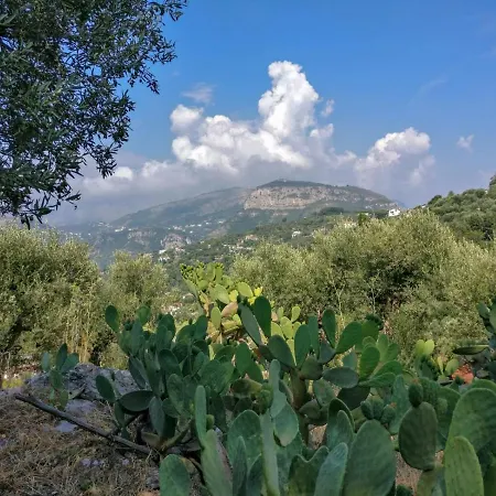 Farm stay Gli Ulivi Agriturismo
