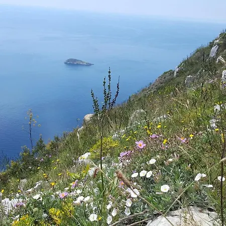 Gli Ulivi Agriturismo * Sant'Agnello